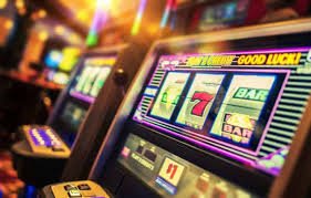 cingtogel live sports and casino categories